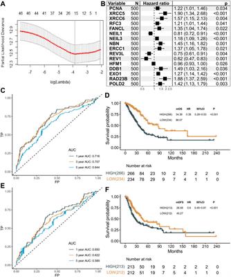 DNA Damage Response Gene-Based Subtypes Associated With Clinical Outcomes in Early-Stage Lung Adenocarcinoma